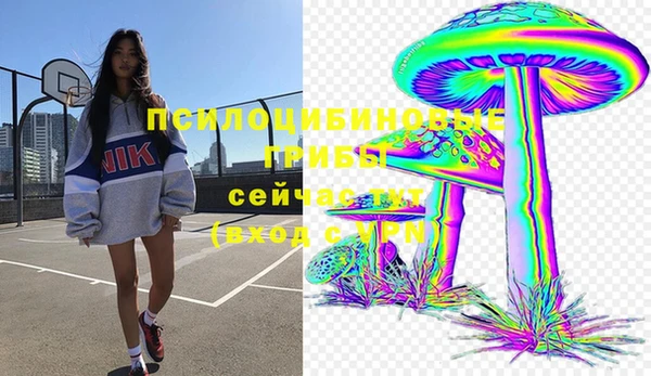 прущие крисы Алексин