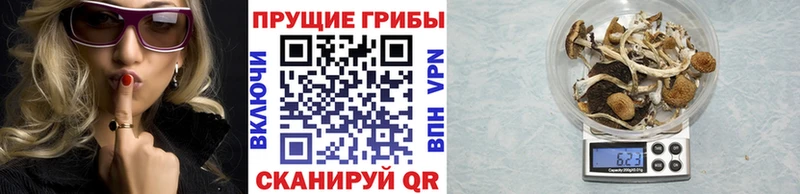 Псилоцибиновые грибы Cubensis  Нижняя Салда 
